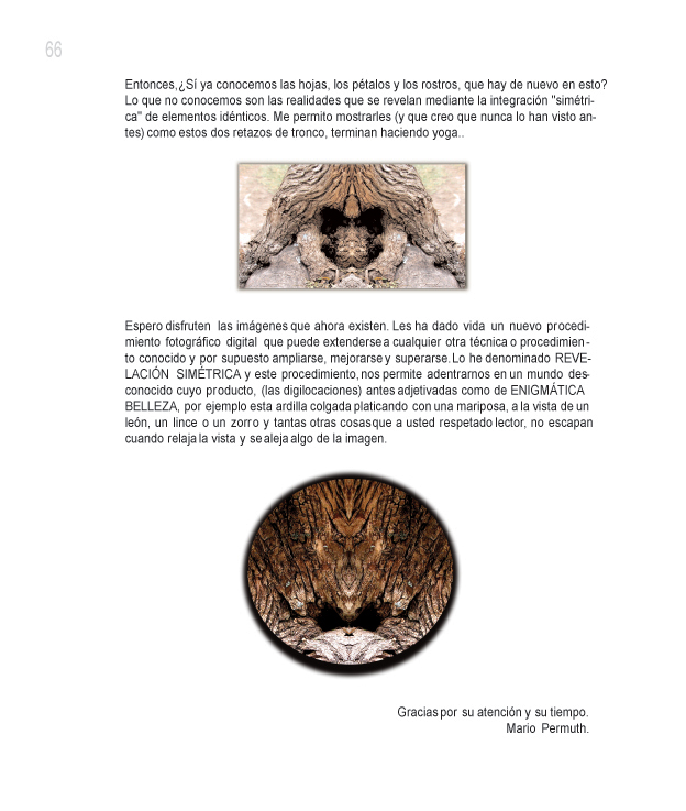 Entonces. �Si ya conocemos las hojas, los p�talos y los rostros, que hay de nuevo en esto? Lo que no conocemos son las realidades que se revelan mediante la integraci�n sim�trica de elementos id�nticos. Me permito mostrarles (y que creo que nunca lo han visto antes) como estos dos retazos de tronco, terminan haciendo yoga.

Espero disfruten las im�genes que ahora existen. Les ha dado vida un nuevo procedimiento fotogr�fico digital que puede extenderse a cualquier otra t�cnica o procedimiento conocido y por supuesto ampliarse, mejorarse y superarse. Lo he denominado REVELACI�N SIM�TRICA y este procedimiento, nos permite adentrarnos en un mundo desconocido cuyo producto, (las digilocaciones) antes adjetivas como de ENIGM�TICA BELLEZA, por ejemplo esta ardilla colgado platicando con una mariposa, a la vista de un le�n, un lince o un zorro y tantas otras cosas que a usted respetado lector, no escapan cuando relaja la vista y se aleja algo de la imagen.

Gracias por su atenci�n y su tiempo.
Mario Permuth.
