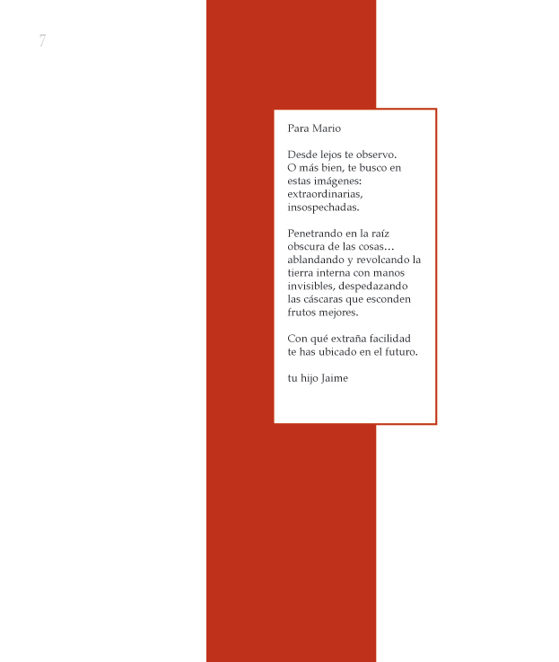 Para Mario

Desde lejos te observo.
O m�s bien, te busco en estas imagenes:
extraordinarias, insospechadas.

Penetrando en la raiz obscura de las cosas�
ablandando y revolcando la tierra interna con manos invisibles,
despedazando las c�scaras que esconden frutos mejores.

Con que extra�a facilidad te has ubicado en el futuro.

Tu hijo Jaime
